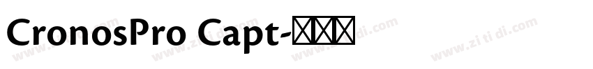 CronosPro Capt字体转换